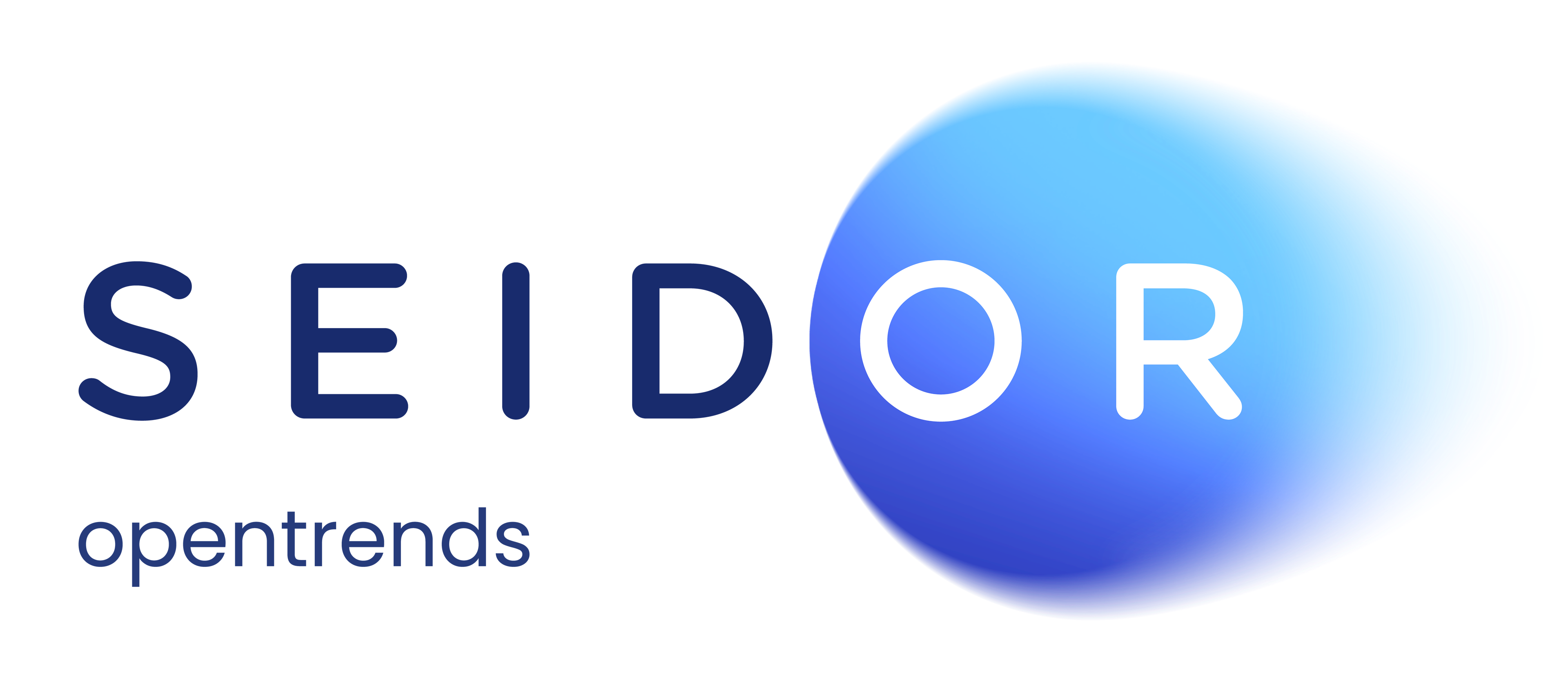 SEIDOR Logo logo